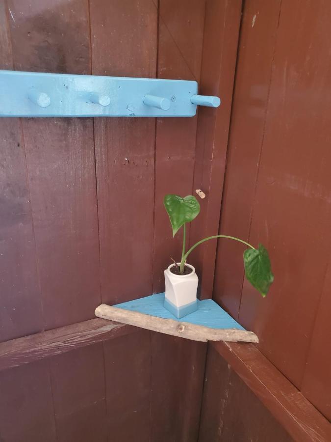 Posada El Esfuerzo Nuqui Ngoại thất bức ảnh